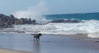 64 Garrick single unit