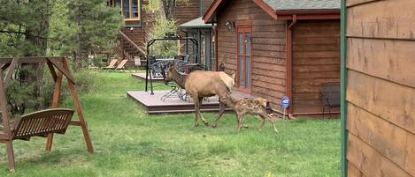 A wooden cabin with a deck, a swing set, and a deer with a fawn in the yard.