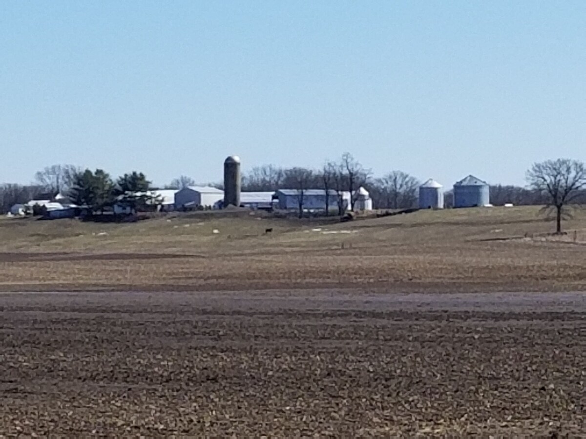 Imagen de perfil del propietario o de la propietaria