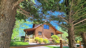 A log cabin with a porch, surrounded by trees and a gravel path.