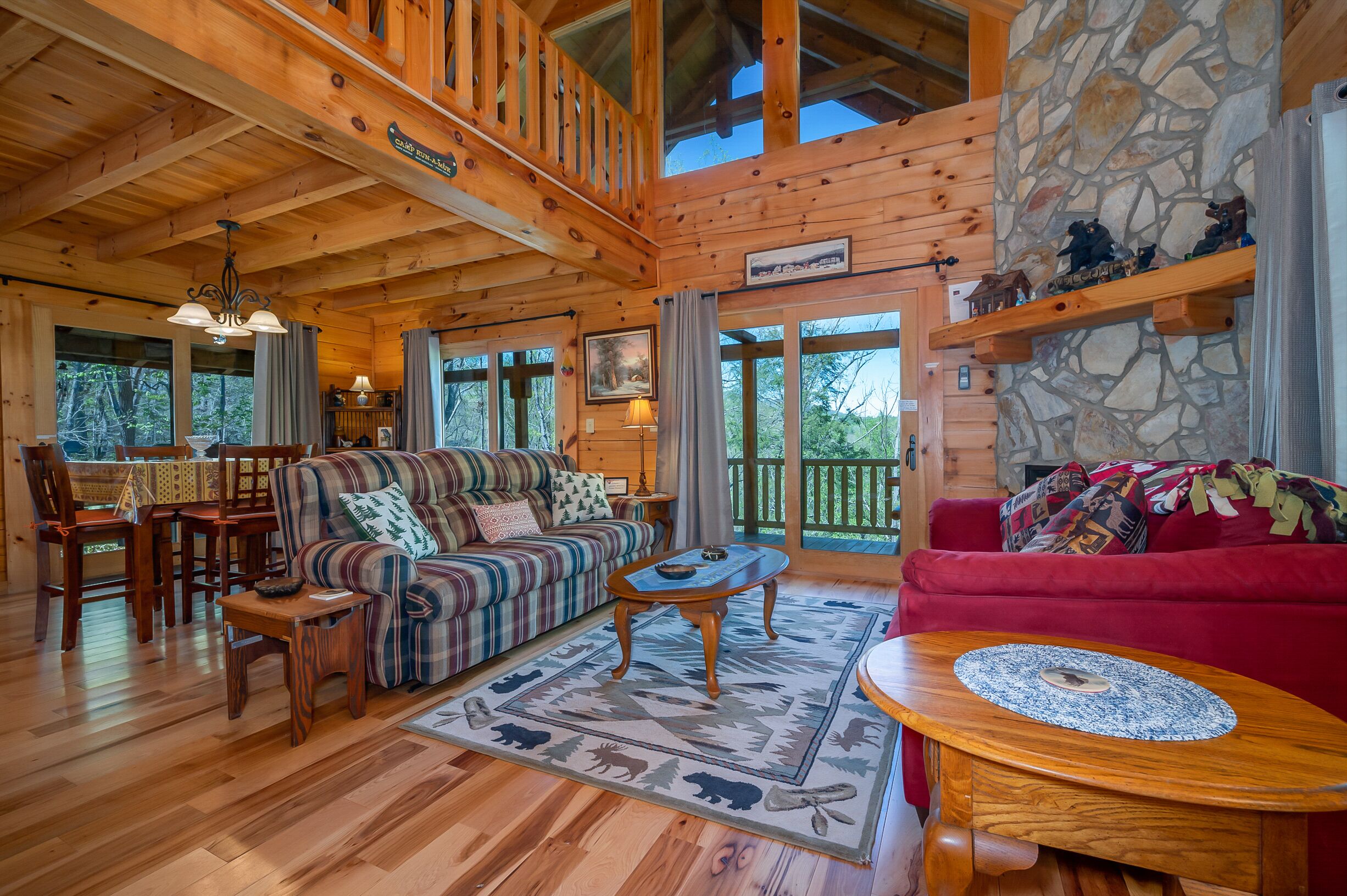 TV, fireplace, video games, DVD player