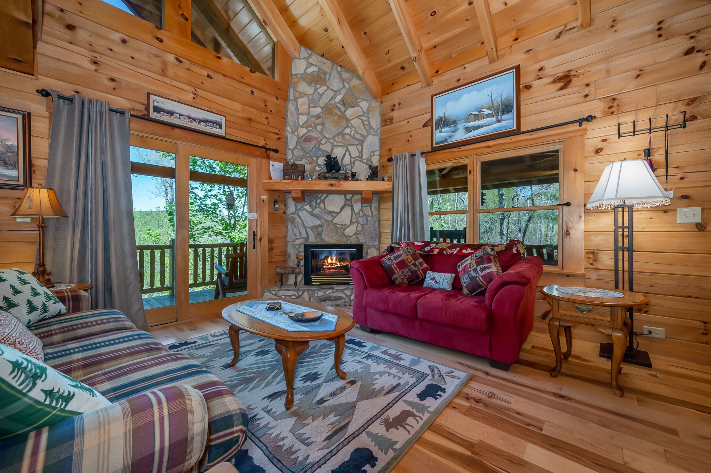 TV, fireplace, video games, DVD player