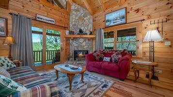 TV, fireplace, video games, DVD player