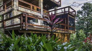 Una casa de varios pisos con un balcón de madera y una planta grande en primer plano.