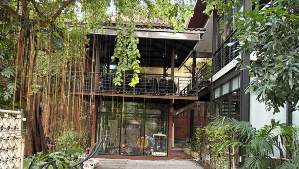 Un bâtiment doté d’un espace extérieur abrité, d’un escalier et de diverses plantes.