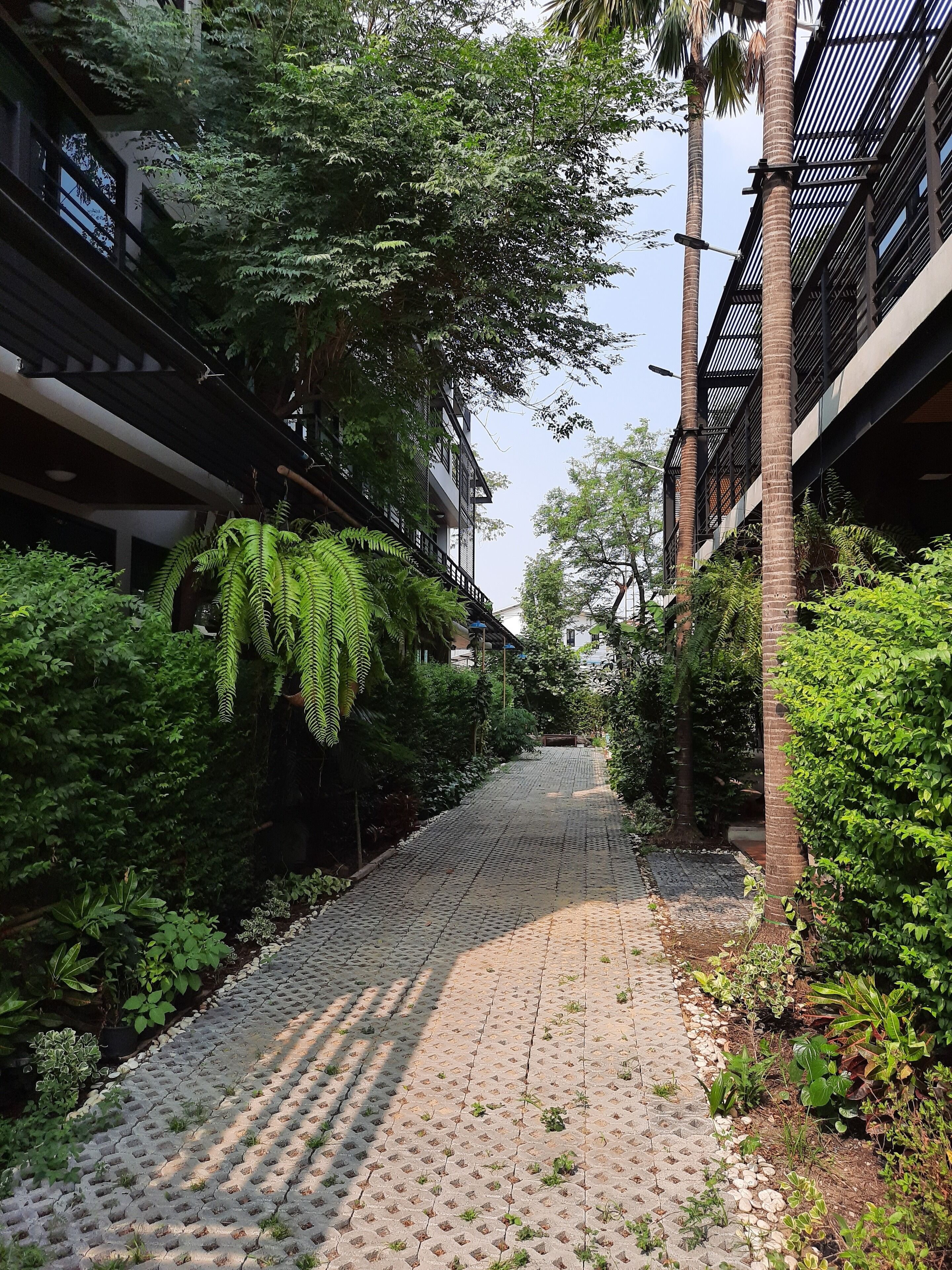 Enceinte de l’hébergement