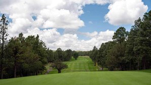 A golf course with a well-maintained green, a flagstick, and a clear sky. - Red Garter Inn (Williams)