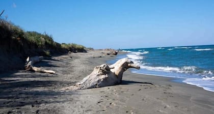 RUMANA 1- 6 pers- ALERIA