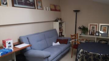 TV, fireplace, DVD player, books
