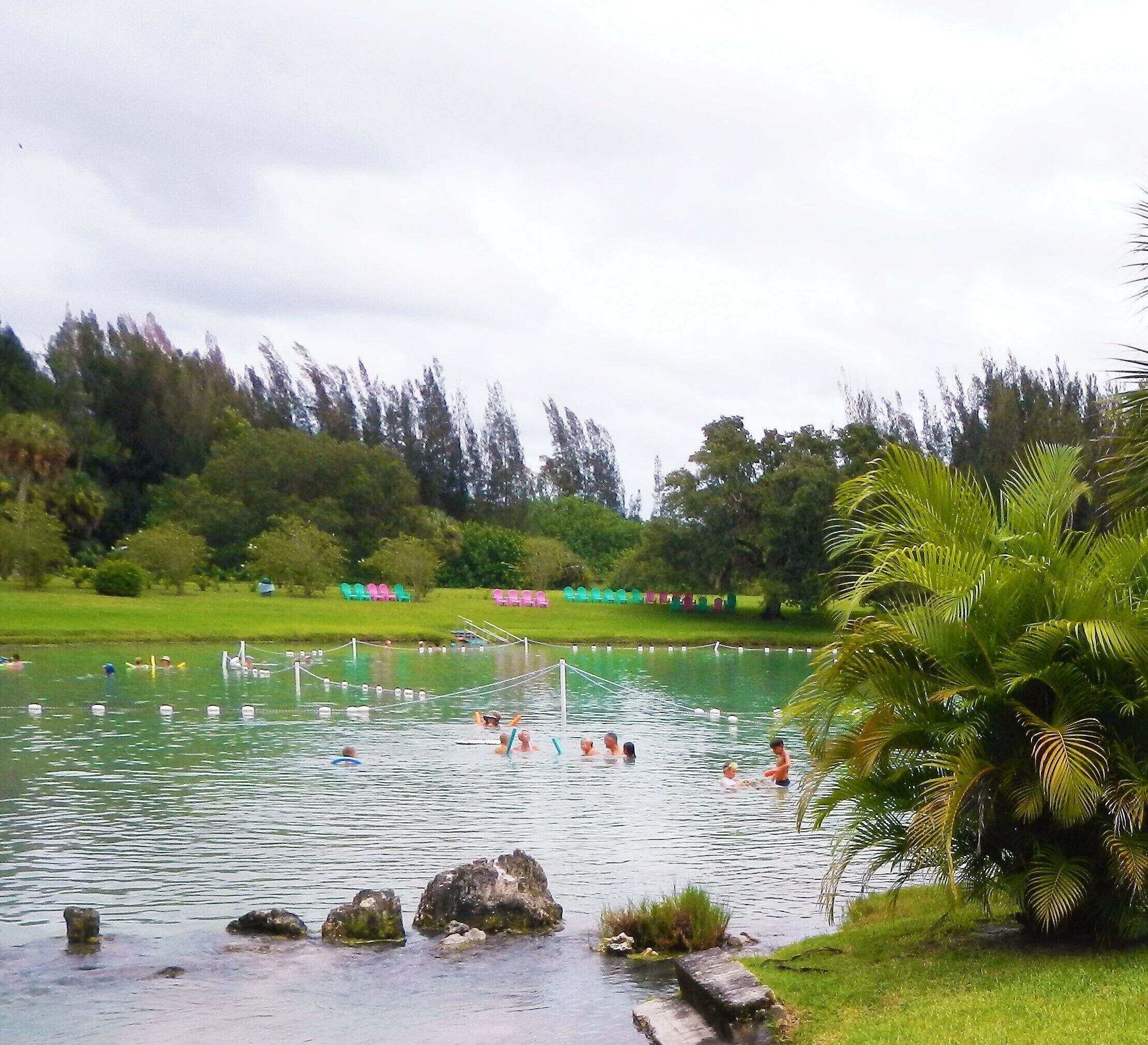 A natural pool surrounded by greenery and trees, with people swimming and enjoying the water.