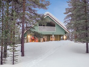 A two-story house with a green exterior and a white roof, surrounded by snow and trees.