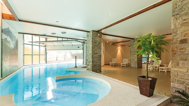 An indoor swimming pool with a stone wall and a large potted plant.