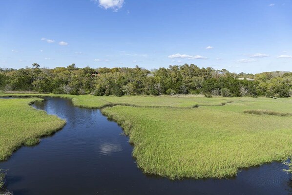 Un paisaje natural con un cuerpo de agua y vegetación circundante.