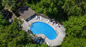 Eine Vogelperspektive zeigt einen Swimmingpool, umgeben von üppiger Vegetation, Liegestühlen und einer Steinmauer.