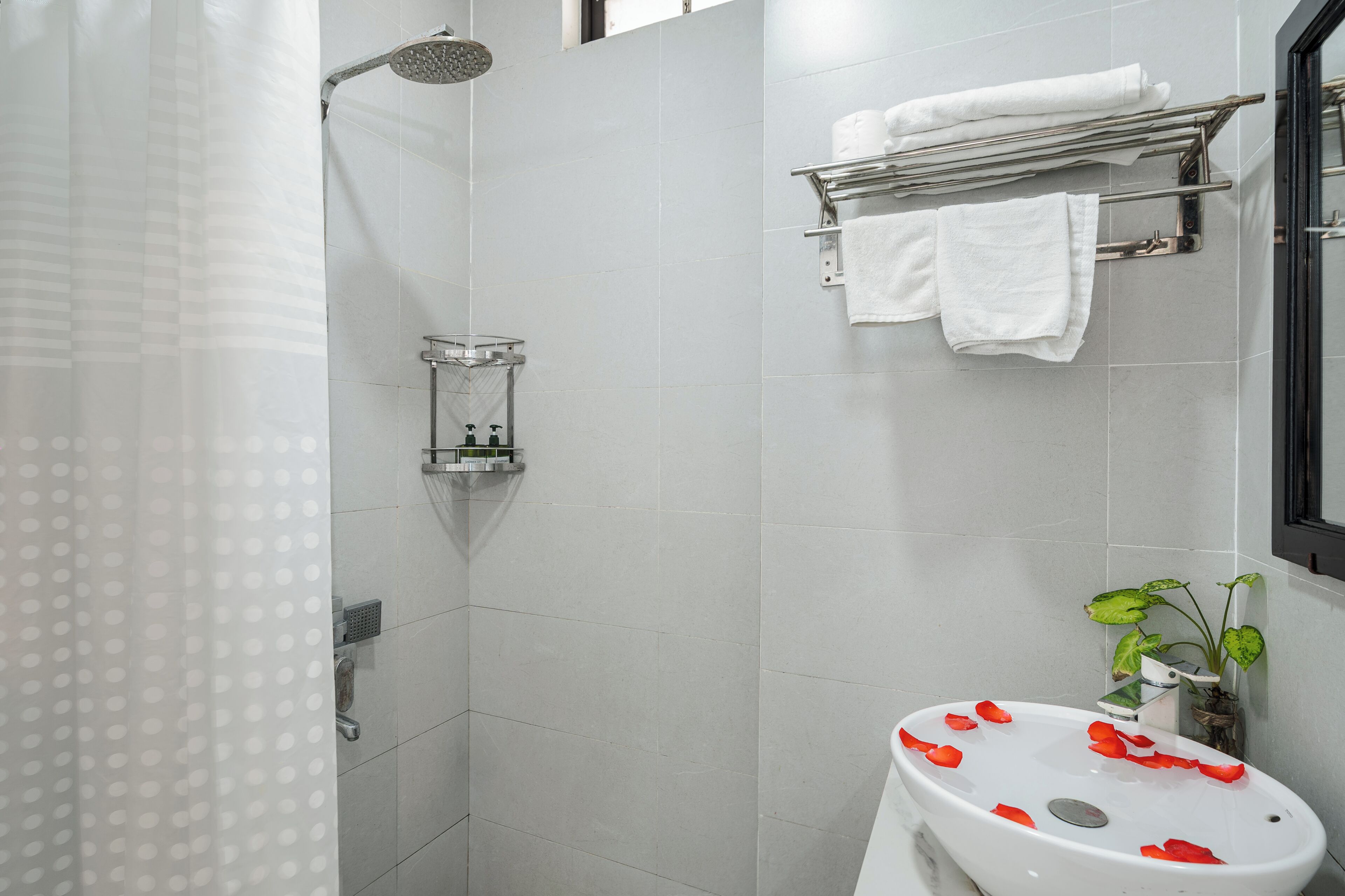 Een badkamer met een douche, een wastafel met rozenblaadjes, een handdoekrek en een potplant.