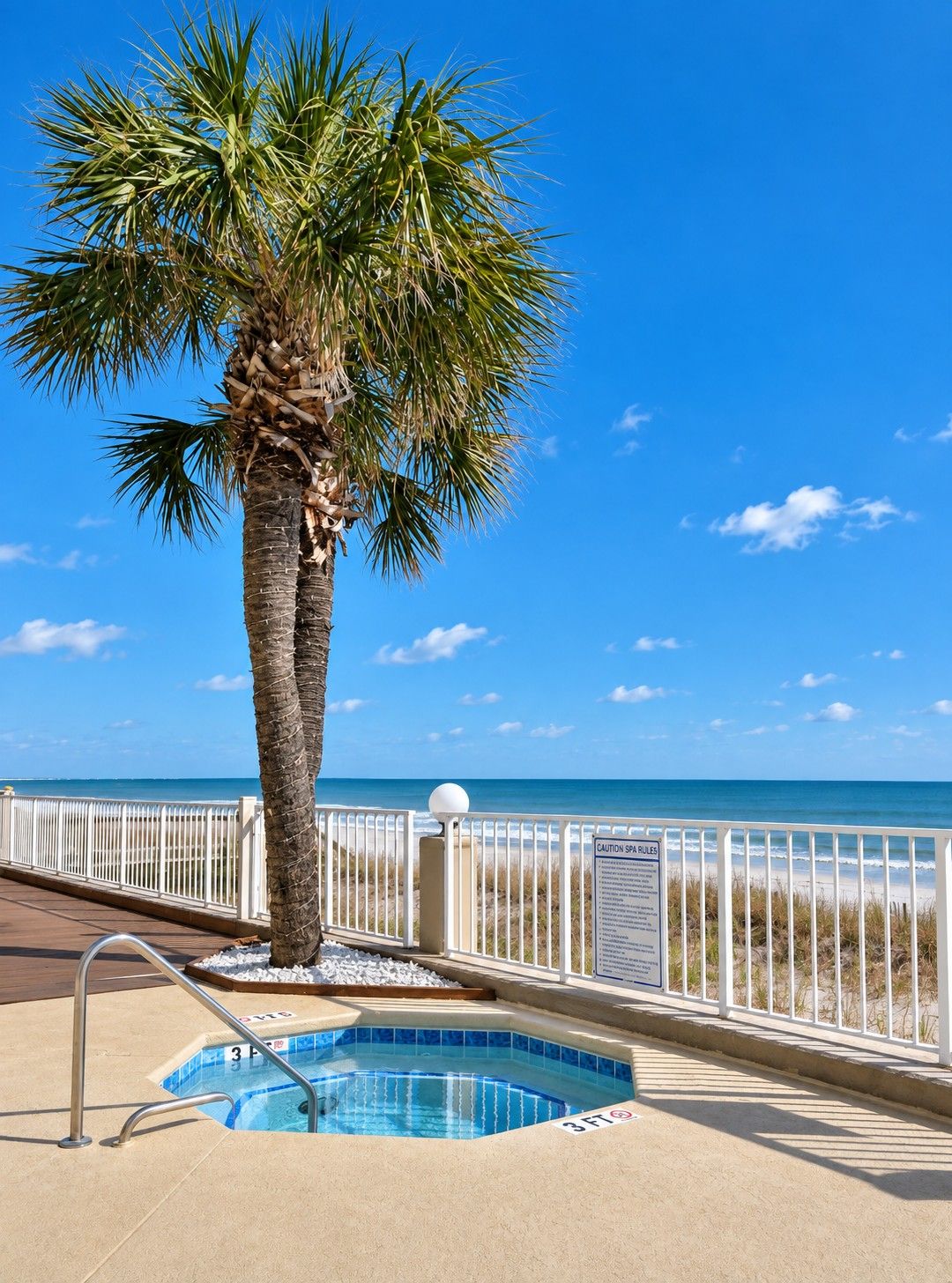A pool area with a palm tree, a beach view, and a white fence.