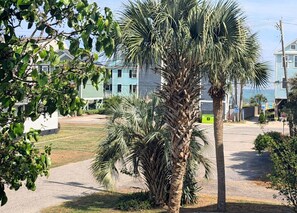 Property grounds - Murphy's Law - Walk to Beach in Surfside Beach (Surfside Beach)