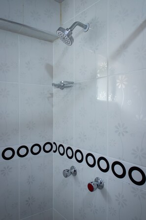 Regadera, secadora de cabello, jabón, papel de baño 