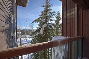 Property grounds - Some of the best direct ski access on the mountain!! 2 bedroom with beautiful valley views!! (Whitefish)
