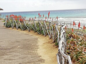 A coastal walkway with a wooden fence and red flowers, leading to the ocean.