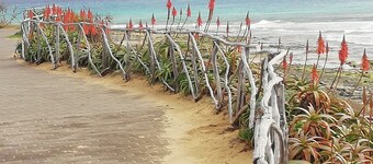 Quintinha das Lombas 