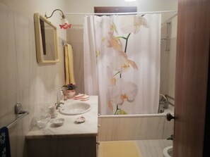 Een douche, een haardroger, een bidet, handdoeken