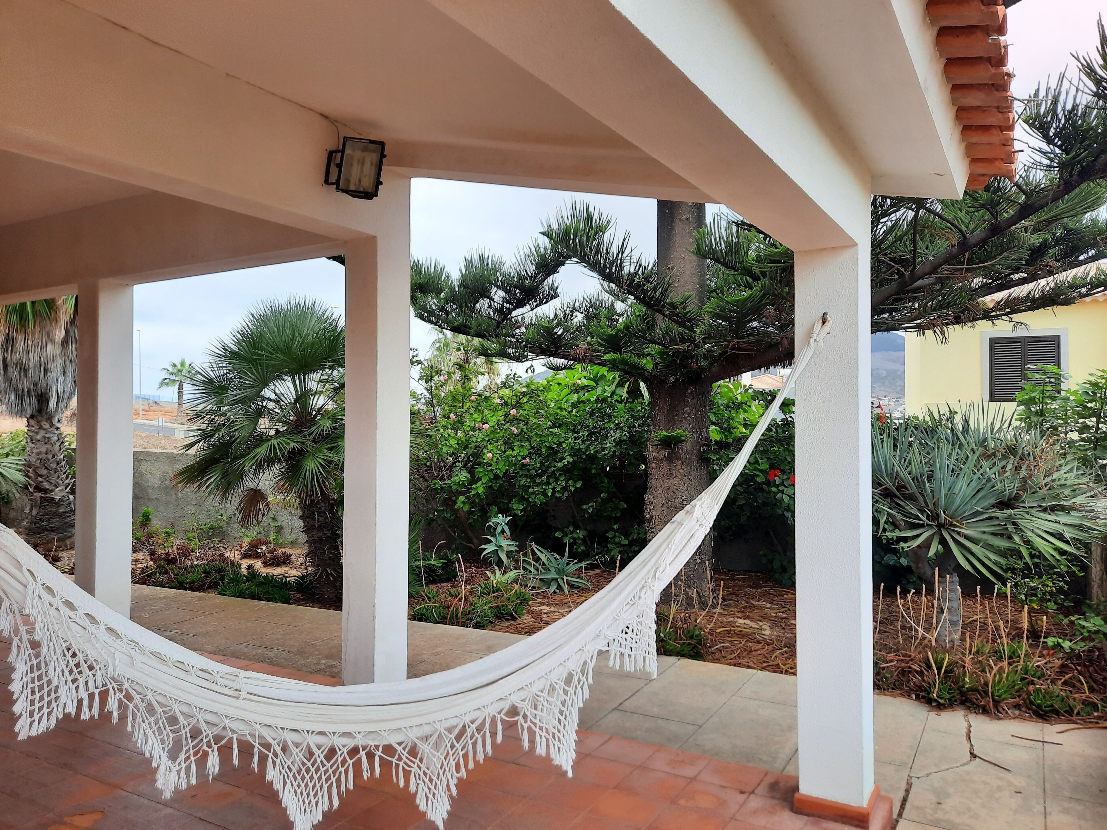 A covered outdoor area with a hammock, palm trees, and various plants.