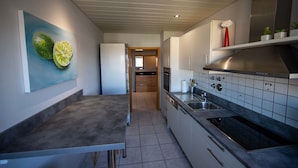 A modern kitchen with a grey countertop, stainless steel appliances, and a tiled backsplash. - FeWo Studenik (Neuried)