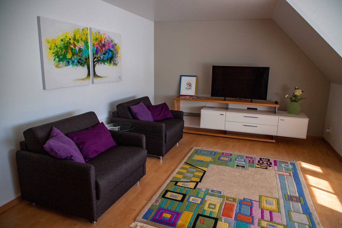 A living room with two sofas, a flat-screen TV, a wooden cabinet, and a colorful rug.