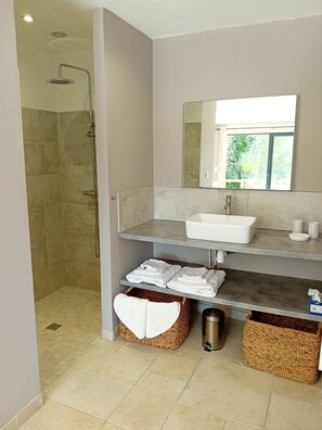 Shower, hair dryer