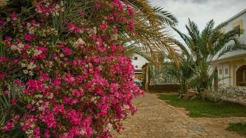 Mặt tiền nơi lưu trú