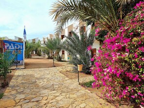 Front of property - Jowhara Hotel (St. Catherine)