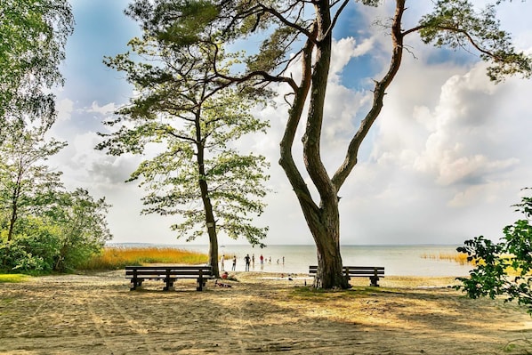 Plage à proximité
