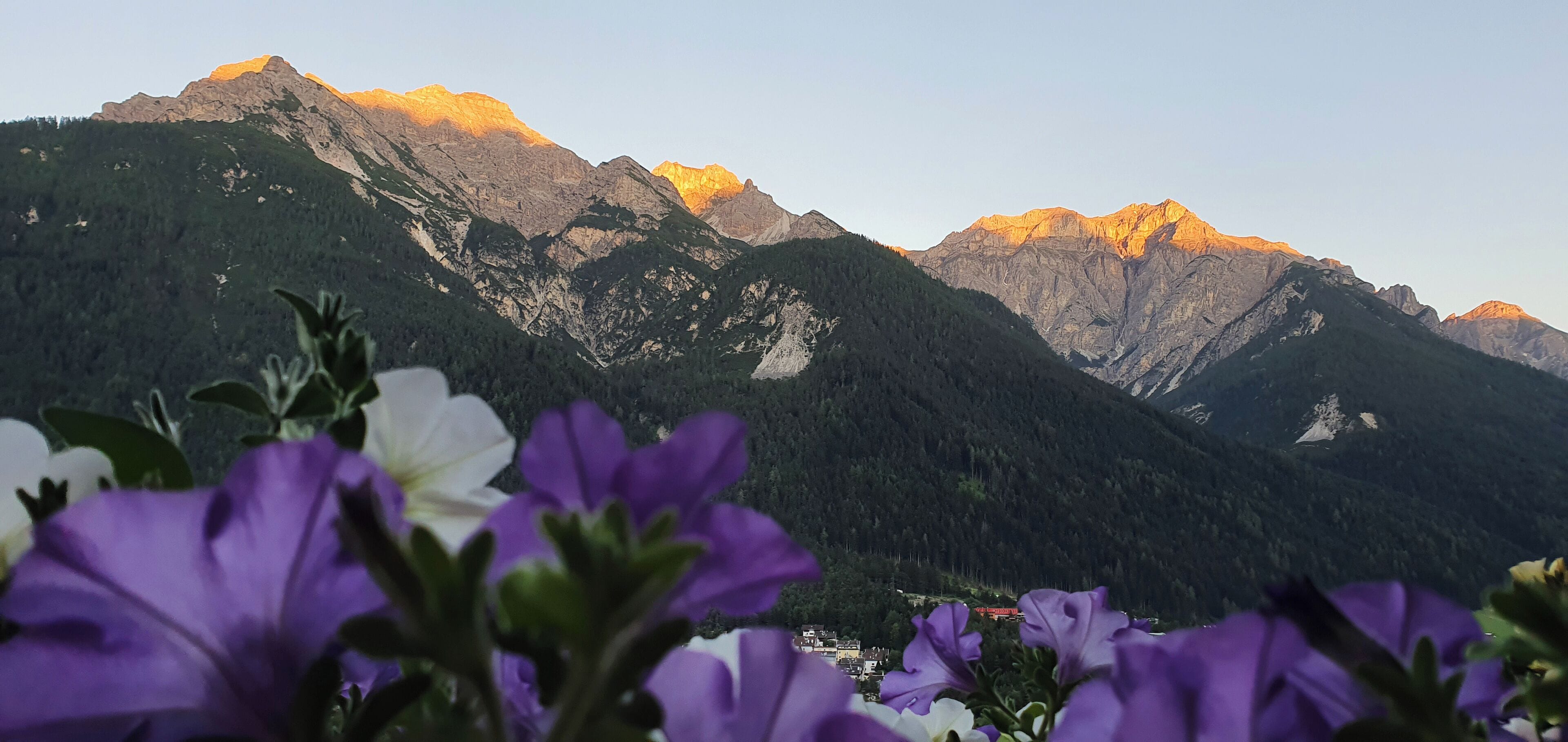 Foto - Gasthof Gröbenhof