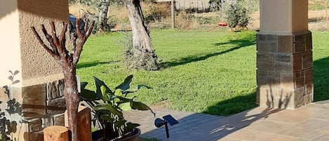 Terraza o patio