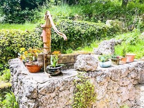 Unclassified image, 2 of 36, button