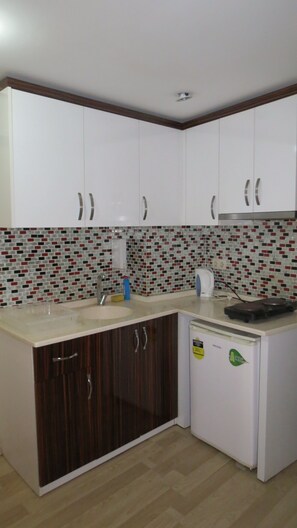 Mini-fridge, stovetop, cleaning supplies, freezer