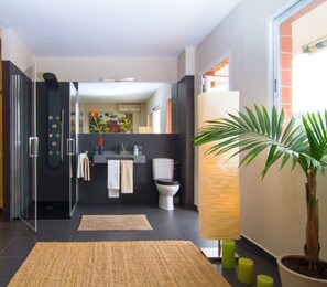 Suihku, hiustenkuivaaja, pyyhkeet, saippua