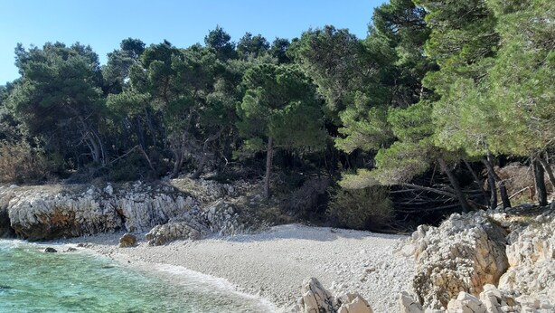 Una spiaggia rocciosa con acque cristalline turchesi, circondata da una fitta pineta.