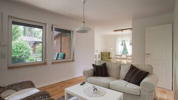 Una televisión, una chimenea, libros, una biblioteca de música