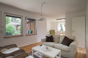 TV, fireplace, books, music library