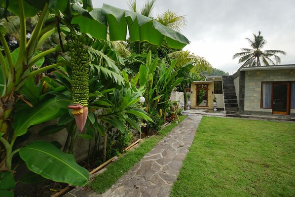 A stone pathway leading to a building with a door, surrounded by lush greenery and banana plants. - Zam Zam Anjani Villa (Selong Belanak)