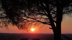 Un coucher de soleil avec deux chaises sous un arbre.