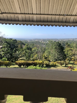 Property grounds - Weslore Apartments Private 10 Acre Estate (Montego Bay)