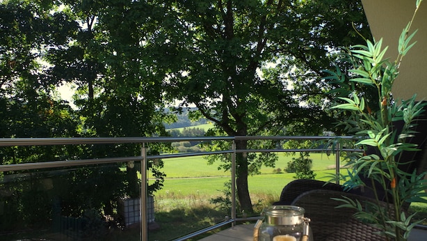 A balcony with a glass railing, a wicker chair, a glass jar with a plant, and a view of a green field and trees. - Holiday house with large garden and wonderful view (Weinsfeld)