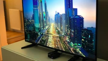 Flat-screen TV, Netflix, streaming services