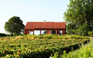 Exterior - Top modern spacious architectural Nordic design villa by the ocean and beach. (Moss)