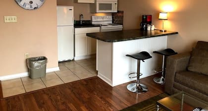 Panoramic River View Downtown Condo W/Balcony