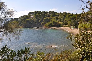 A coastal landscape with clear water, a sandy beach, and a hill with dense vegetation.