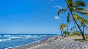 Ein Strand mit Kiesufer, Palmen und dem Ozean unter blauem Himmel.